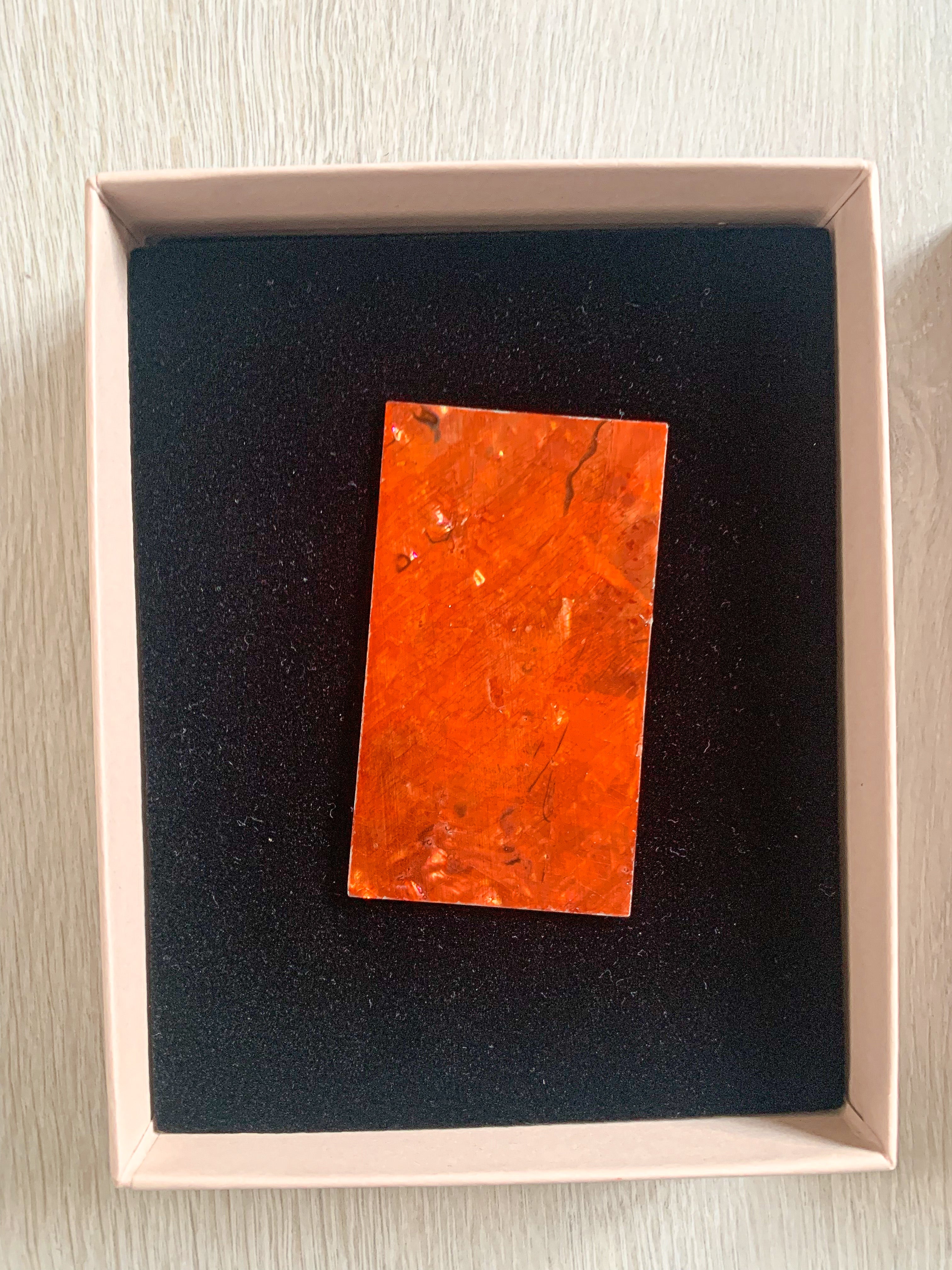 Christopher Kane Mother Of Pearl Brooch - House Of Huntington