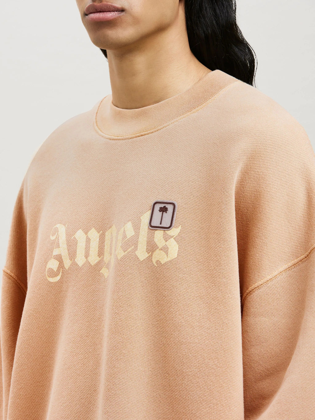 Palm Angels PXP Brown Sweatshirt
