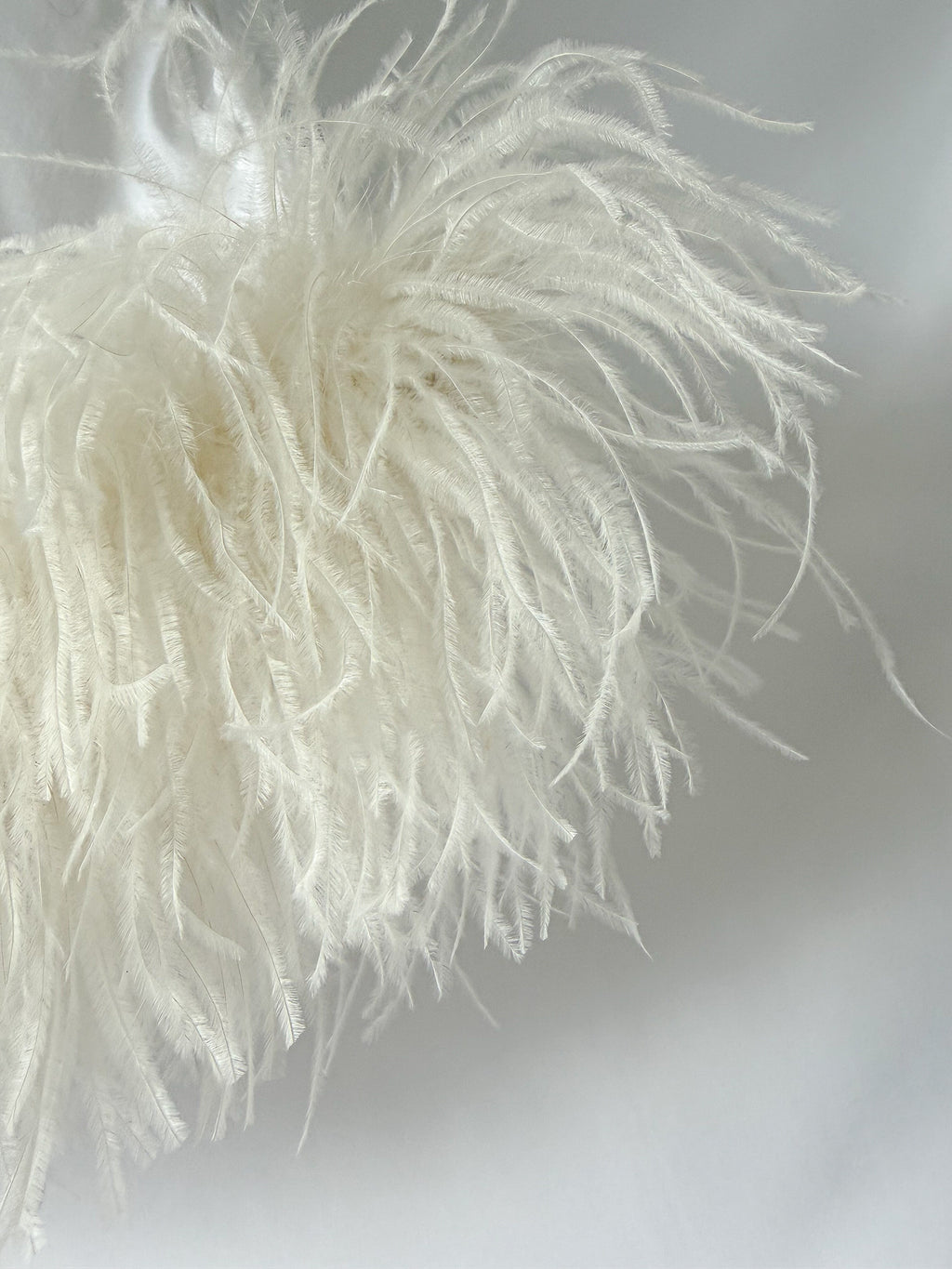 Valentino Garavani White Feather Trim Crop Top