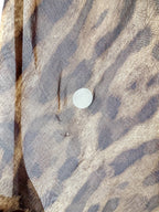 Rat and Boa Valentina Silk Leopard Print Maxi Dress