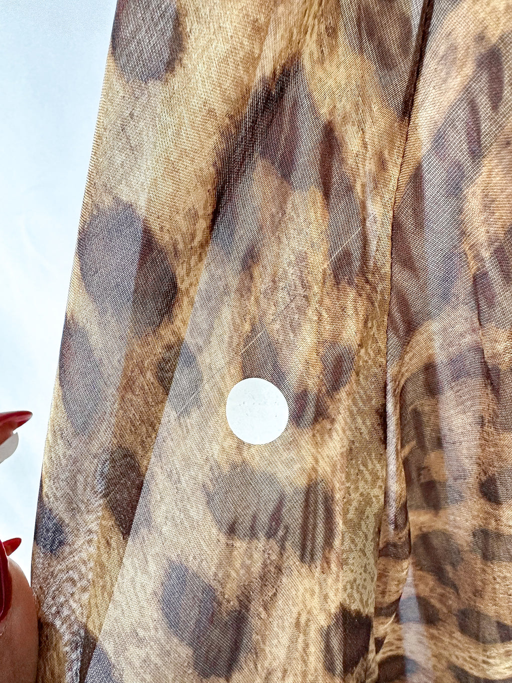 Rat and Boa Valentina Silk Leopard Print Maxi Dress