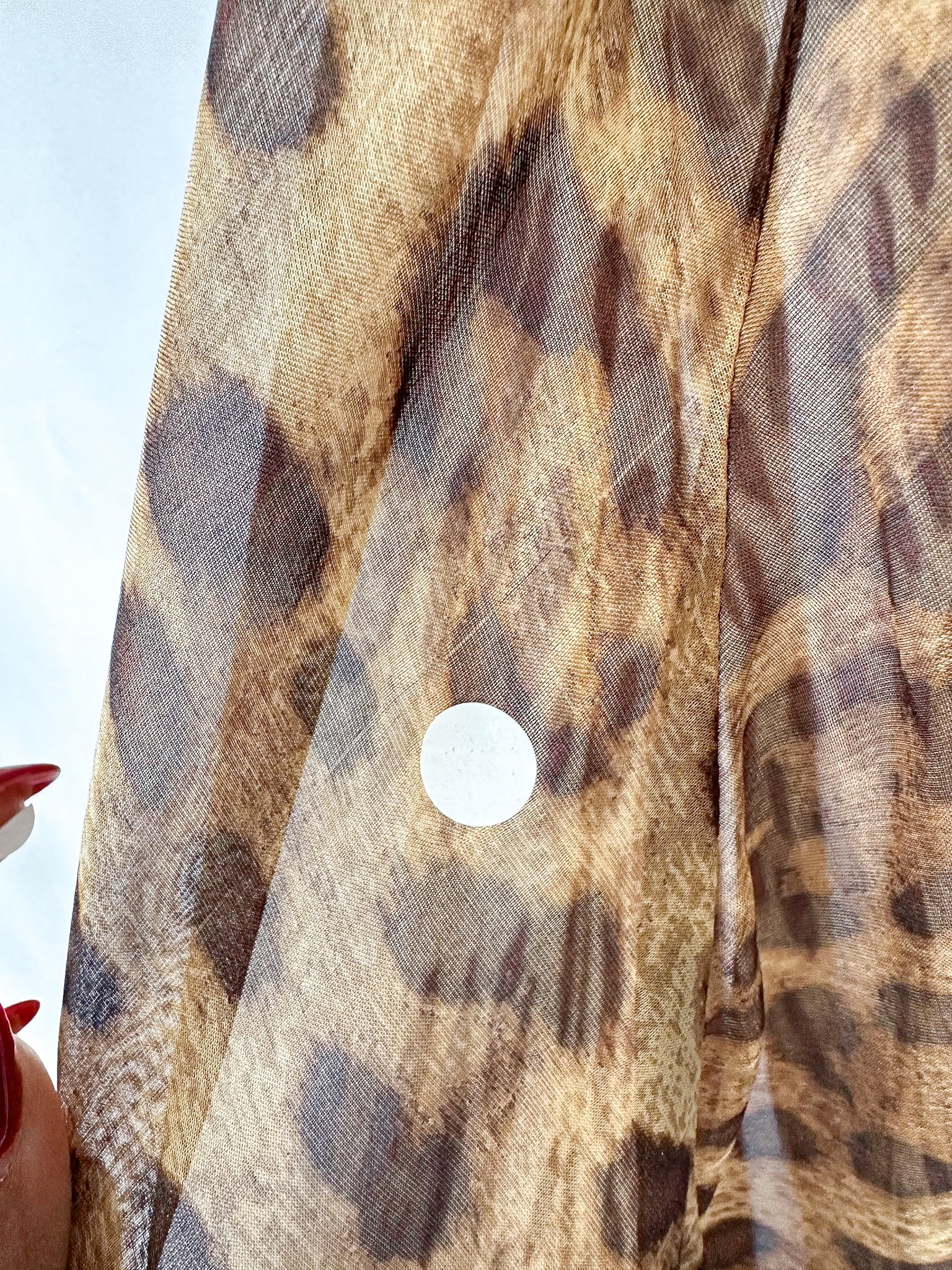 Rat and Boa Valentina Silk Leopard Print Maxi Dress