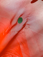 Rat and Boa Red Cecelia Silk Chiffon Maxi Dress