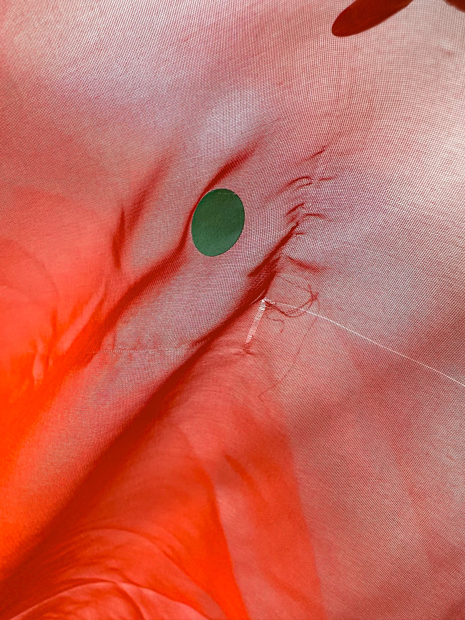 Rat and Boa Red Cecelia Silk Chiffon Maxi Dress