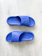 NAKED WOLFE Cobalt Blue Tommy Waterproof Sandals Slide - House Of Huntington