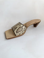 Bottega Veneta Dubai Exclusive Ravello Python Leather Mules