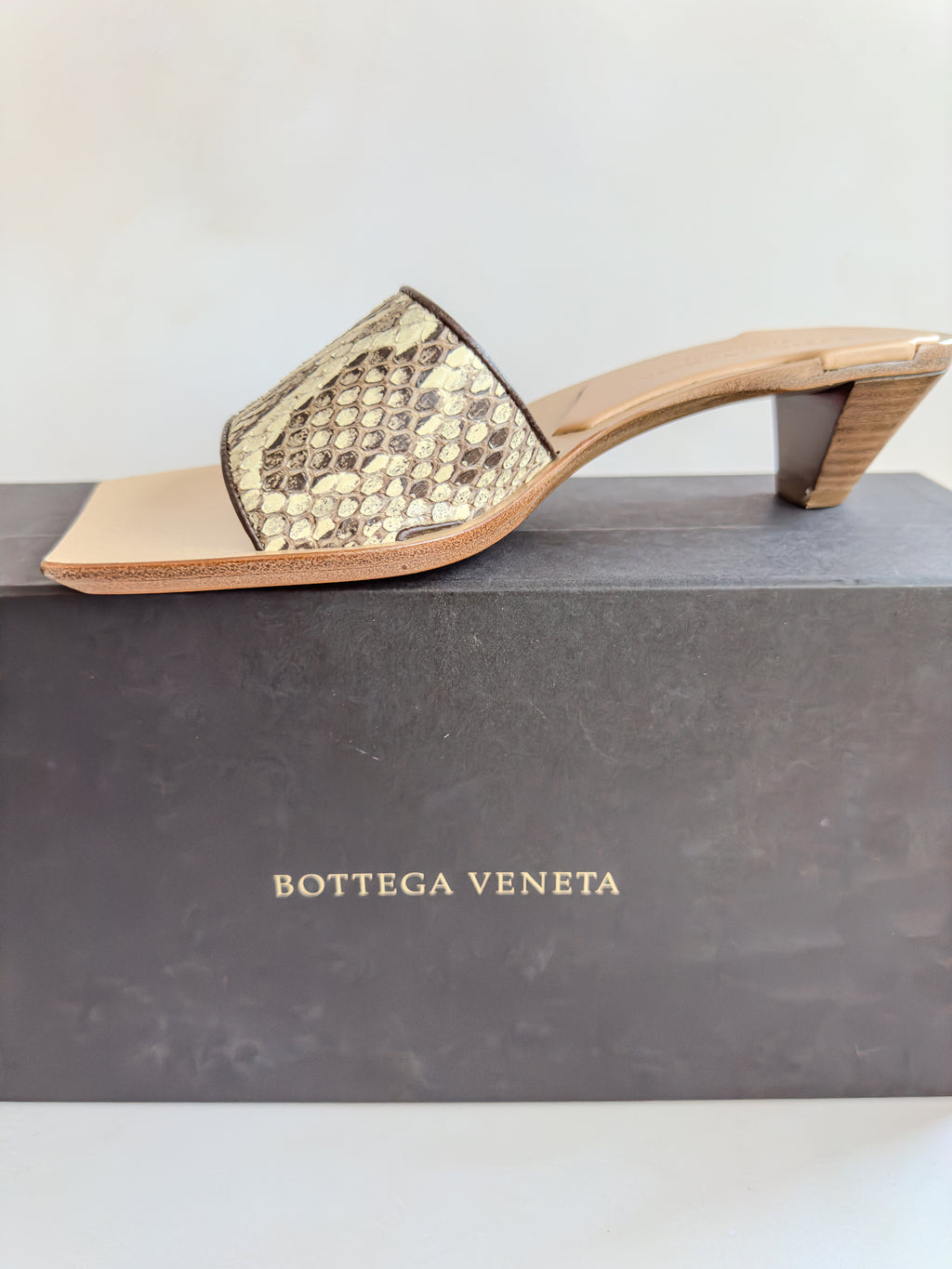 Bottega Veneta Dubai Exclusive Ravello Python Leather Mules