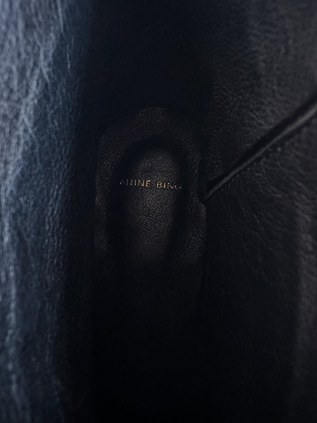 Anine Bing Charlie Studded Boots