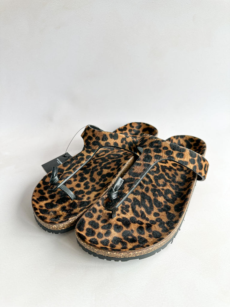 Saint Laurent Leopard print sandals on a white background