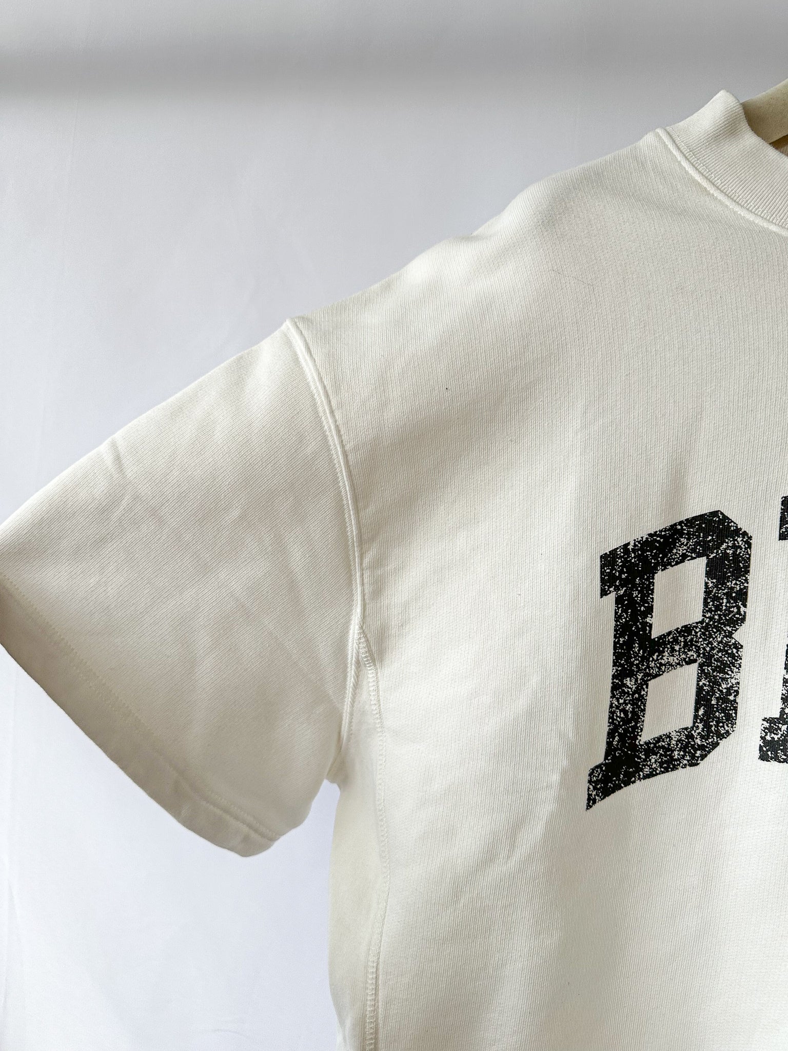 Anine Bing Jay Printed Cotton Short Sleeve Sweatshirt