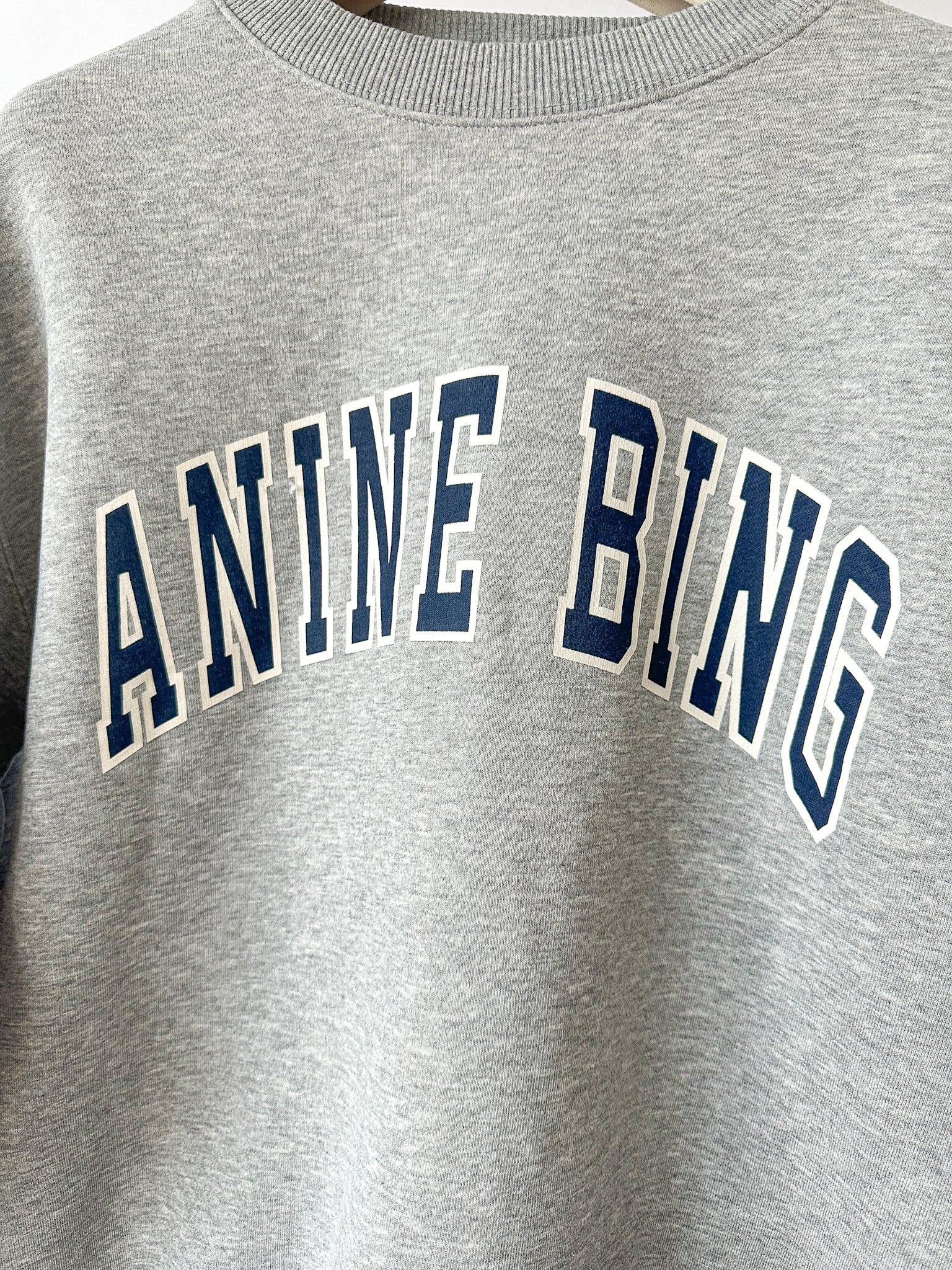Anine Bing Spencer Logo Print Grey Sweatshirt