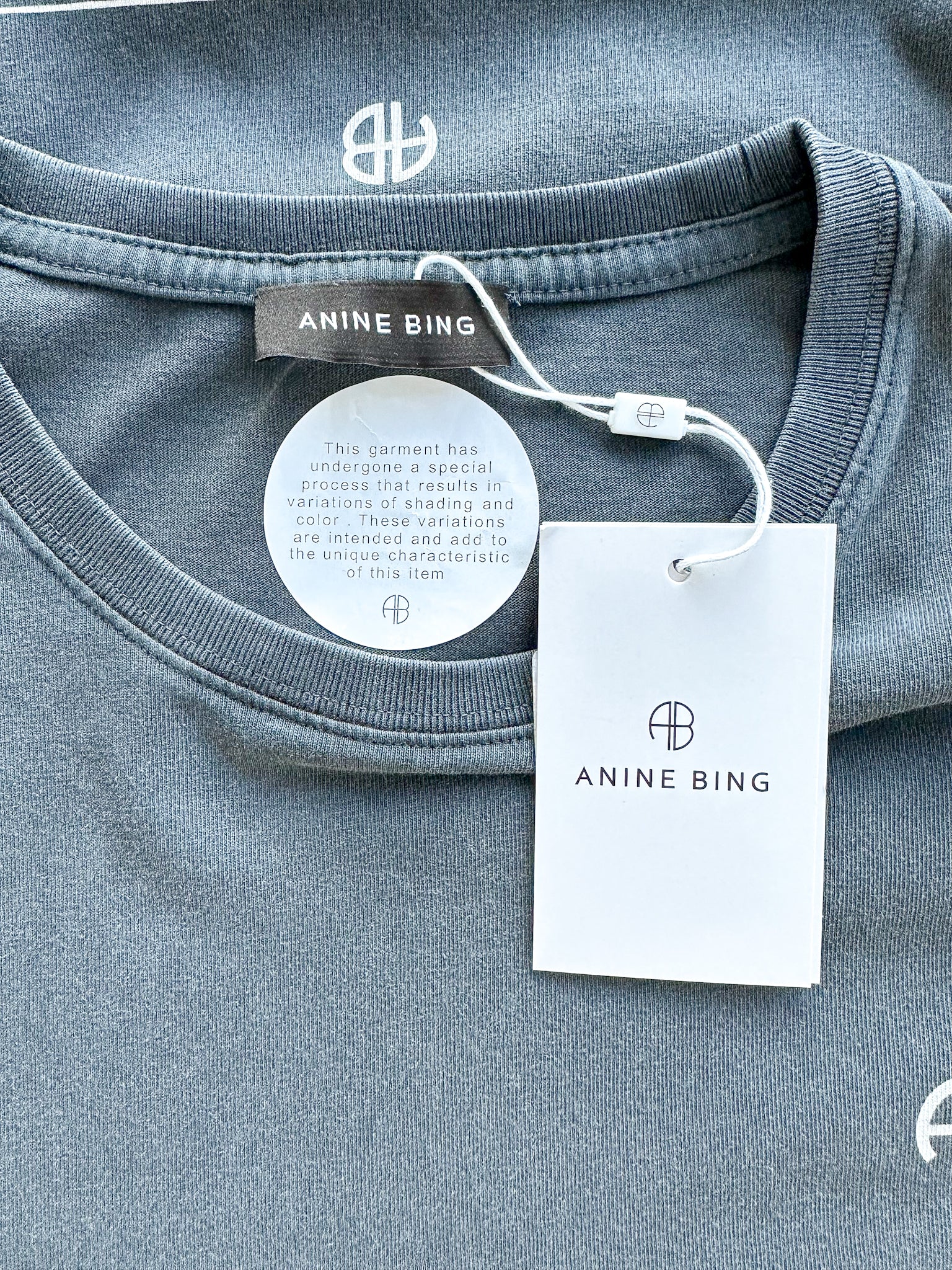 Anine Bing Rudy Empowerment Print AB Logo Front T-shirt