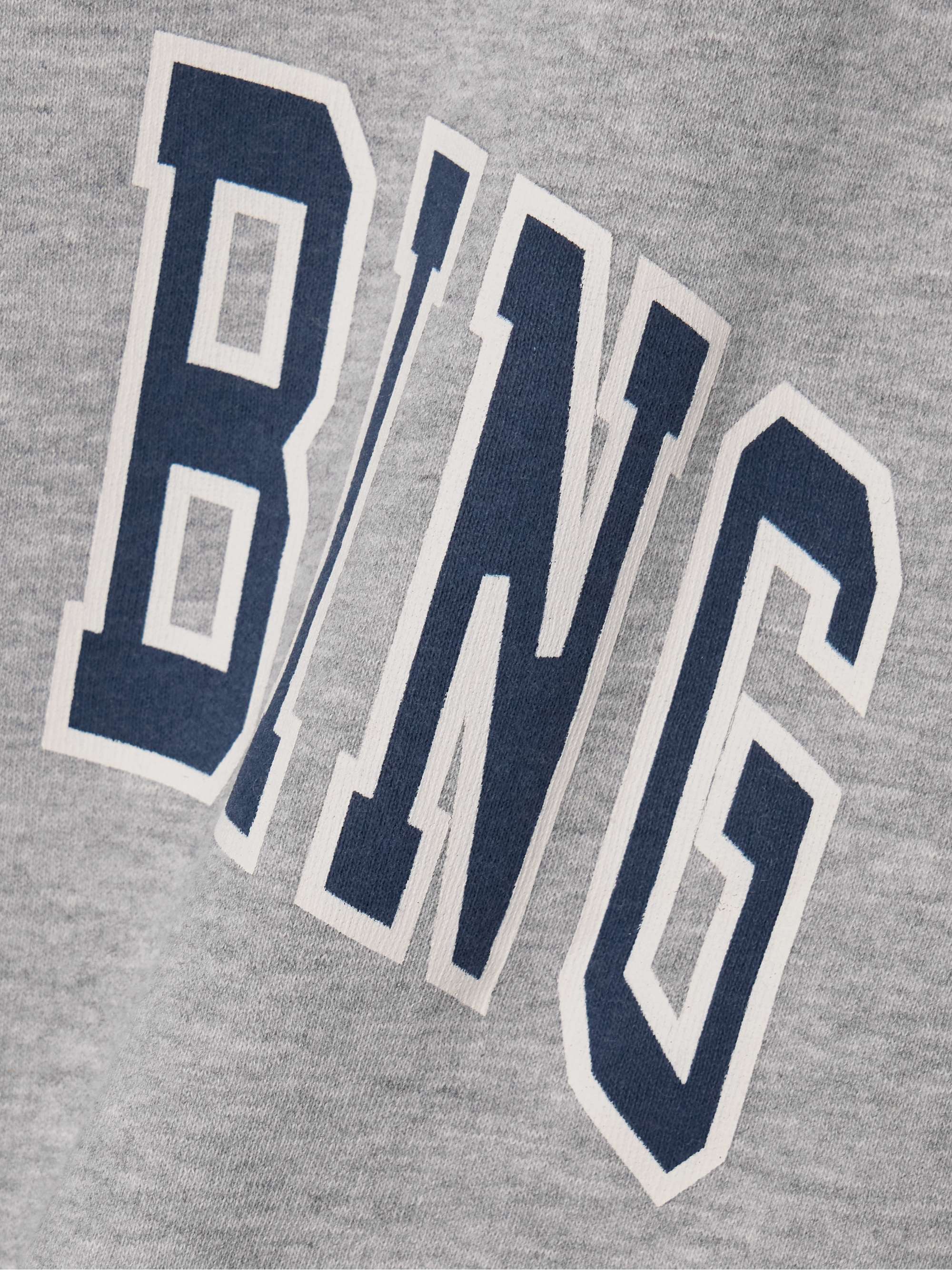 Anine Bing Spencer Logo Print Grey Sweatshirt