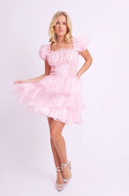 Amy Jane London Pink Arabella Organza Puff Sleeve Corset Bodice Fairytale Coquette Mini Dress - House Of Huntington