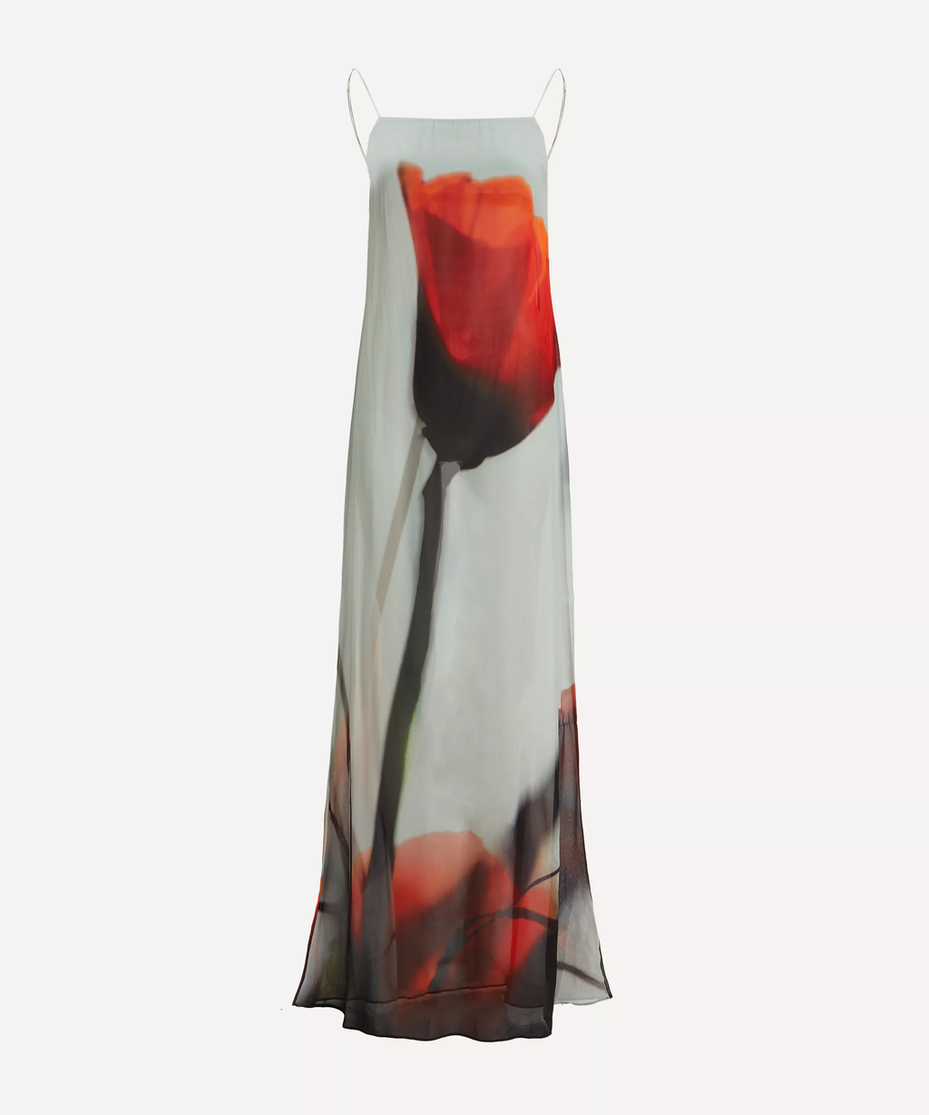 Rat and Boa Luciana Tulip Print Slip Maxi Dress