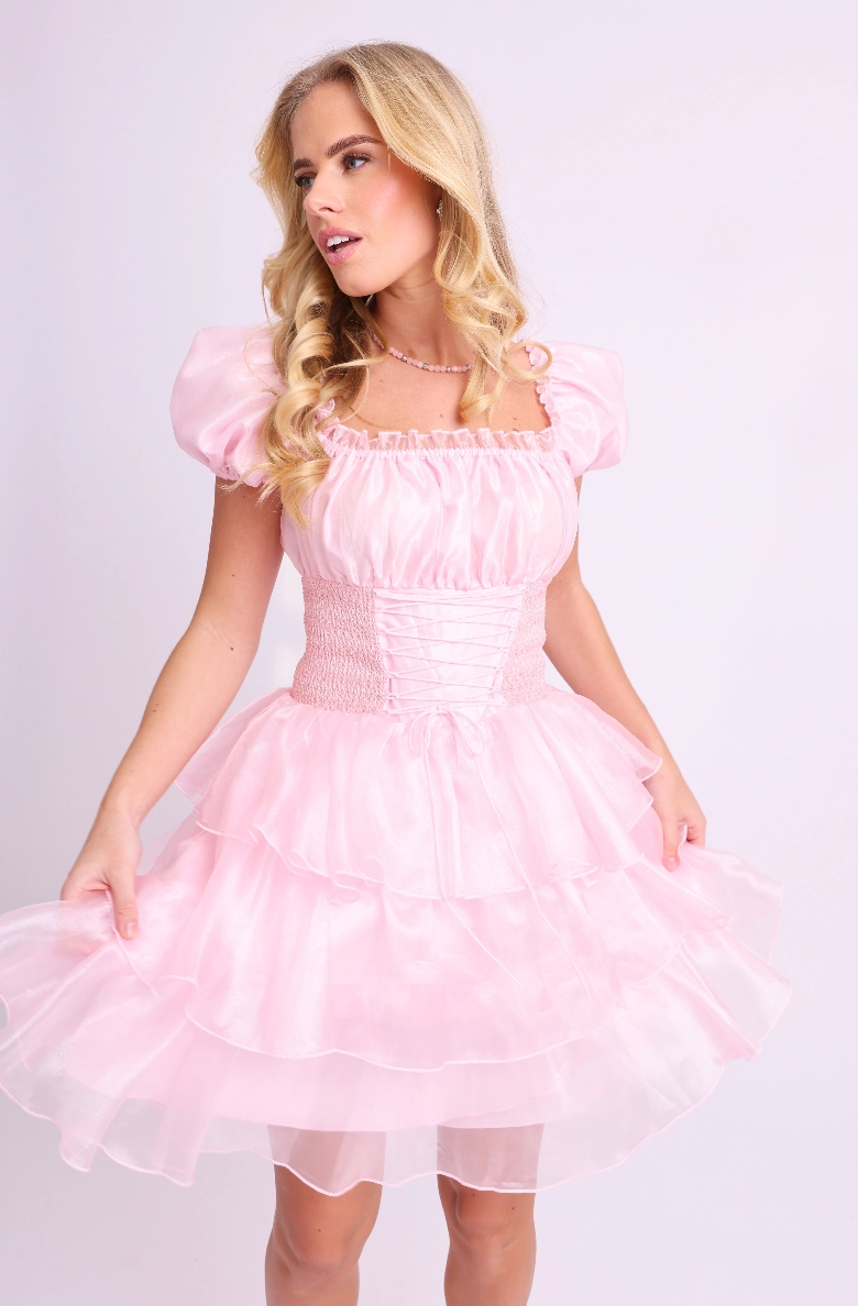 Amy Jane London Pink Arabella Organza Puff Sleeve Corset Bodice Fairytale Coquette Mini Dress - House Of Huntington