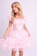 Amy Jane London Pink Arabella Organza Puff Sleeve Corset Bodice Fairytale Coquette Mini Dress - House Of Huntington