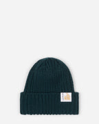 Lanvin Green Logo Tab Ribbed Knit Wool Beanie Hat