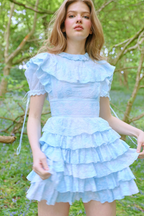 Amy Jane London Eidee Prairie Floral Embroidery Puff Sleeve Dress - House Of Huntington