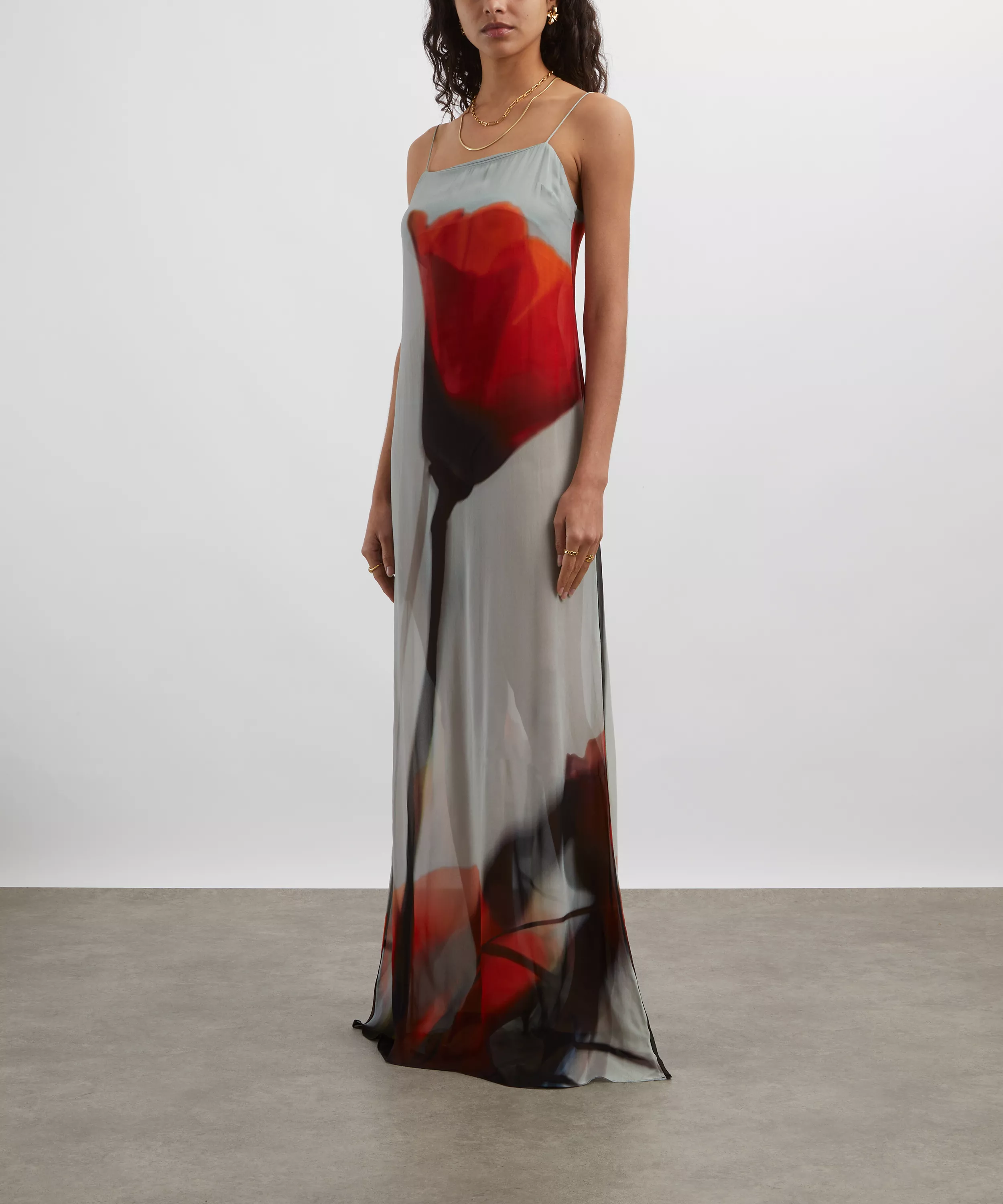 Rat and Boa Luciana Tulip Print Slip Maxi Dress