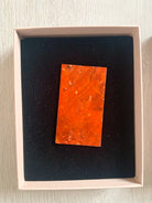 Christopher Kane Mother Of Pearl Brooch - House Of Huntington