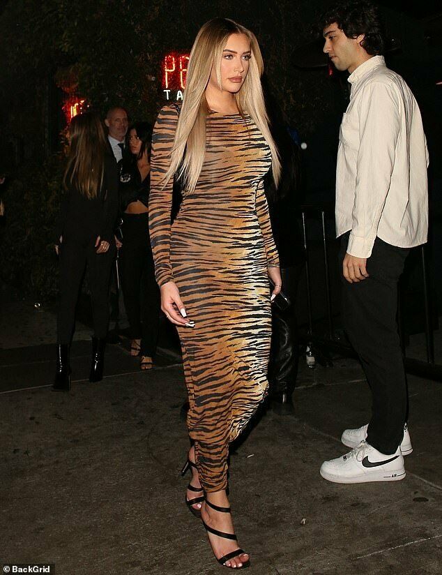 Alexandre Vauthier Long Sleeved Tiger Print Kylie Jenner Dress - House Of Huntington